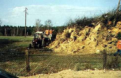 Osterfeuer 1989